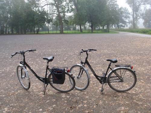  Our faithful steeds for the day.